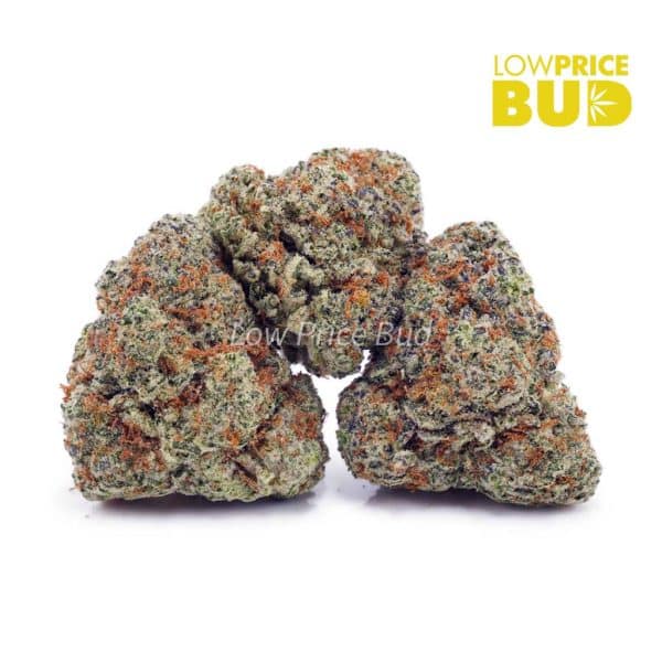 Buy Do Si Do (AAA) online Canada