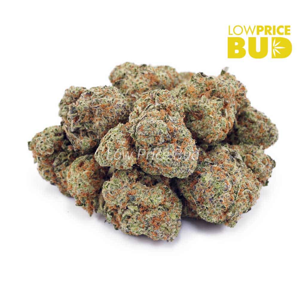 Buy Do Si Do (AAA) online Canada