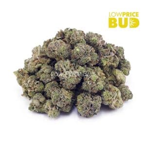 Buy Tropicana Cookies (AAAA) – Popcorn Nugs online Canada