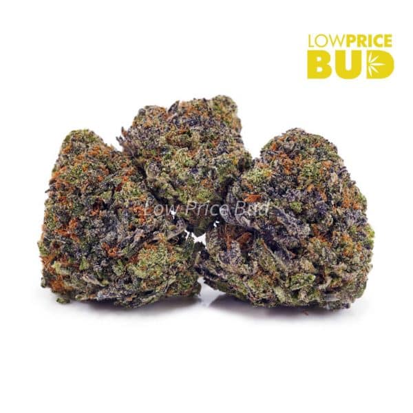Buy Pink Kush (AAA) online Canada