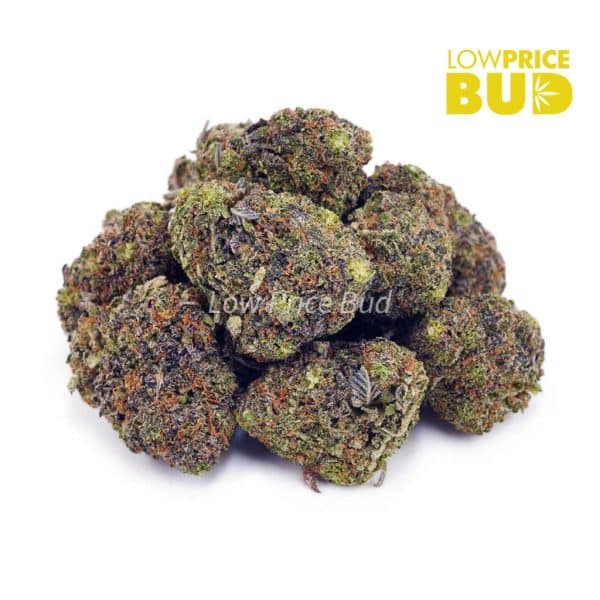 Buy Pink Kush (AAA) online Canada