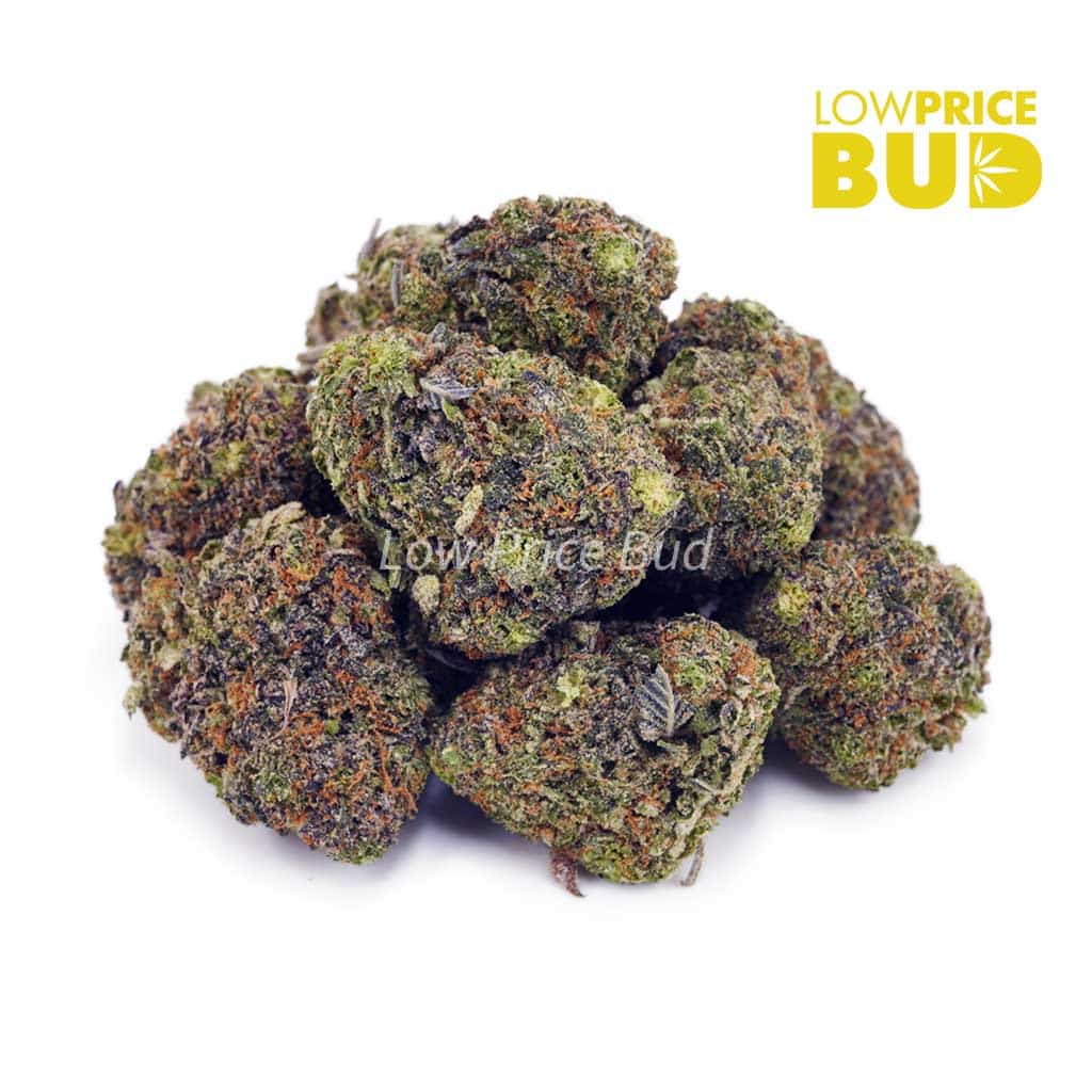 Buy Pink Kush (AAA) online Canada