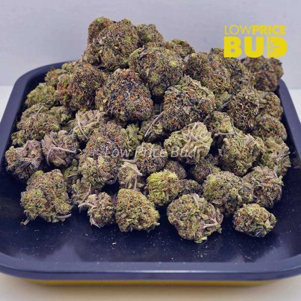 Buy Pink Kush (AAA) online Canada