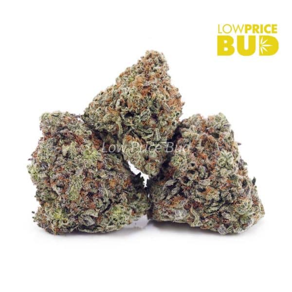 Buy Khalifa Kush (AAA) online Canada