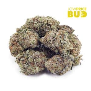 Buy Khalifa Kush (AAA) online Canada