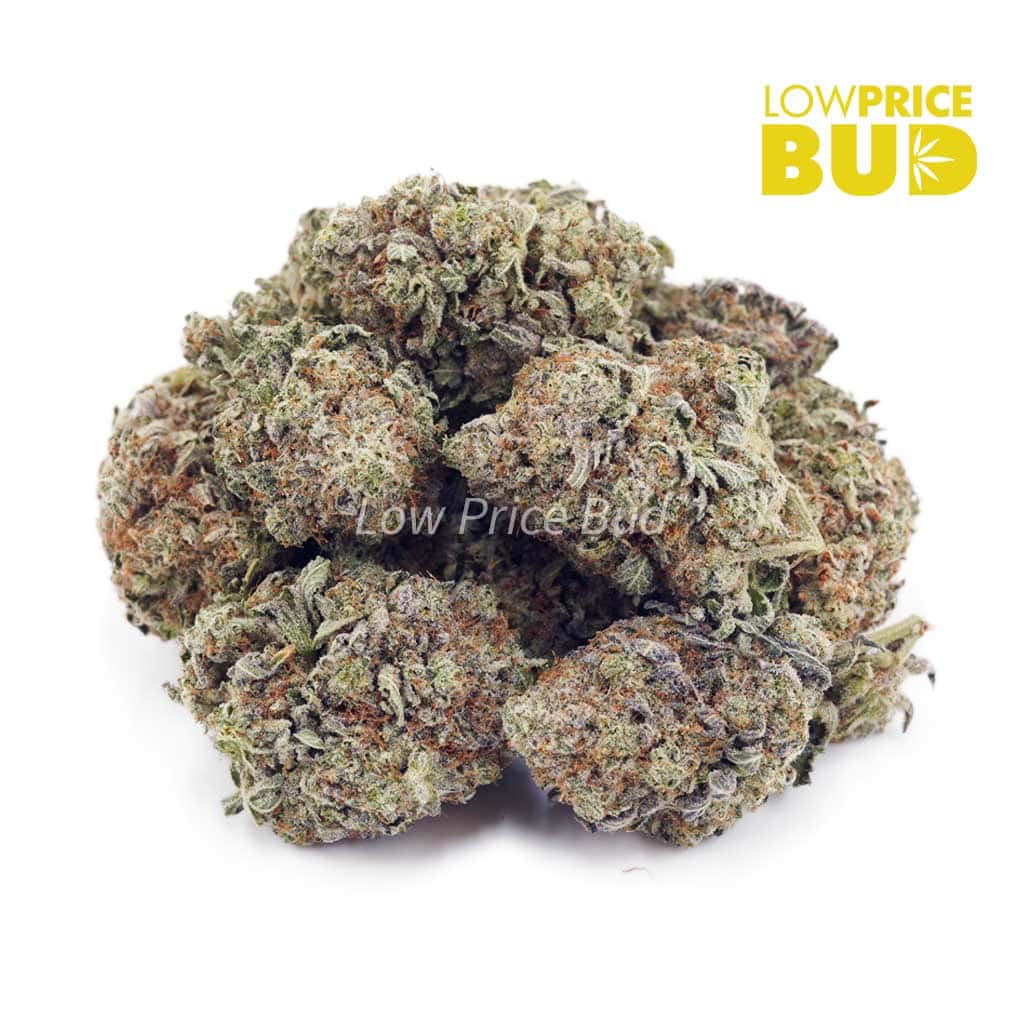 Buy Khalifa Kush (AAA) online Canada