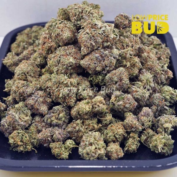 Buy Khalifa Kush (AAA) online Canada