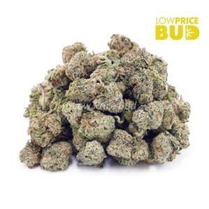 Buy White Russian Cream Kush (AAAA) – Popcorn Nugs online Canada