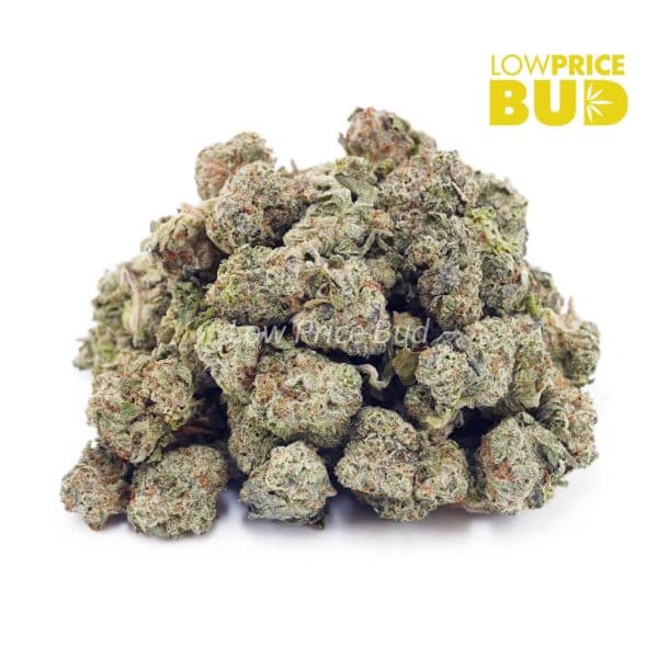 Buy White Russian Cream Kush (AAAA) – Popcorn Nugs online Canada