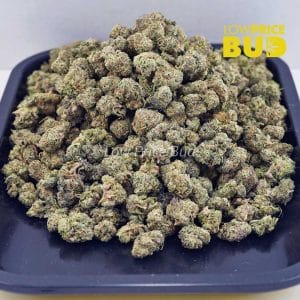 Buy White Russian Cream Kush (AAAA) – Popcorn Nugs online Canada
