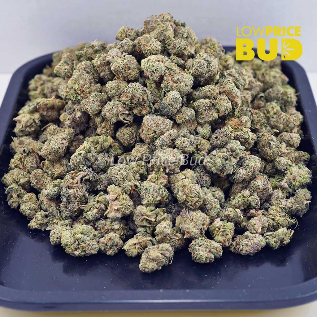 Buy White Russian Cream Kush (AAAA) – Popcorn Nugs online Canada