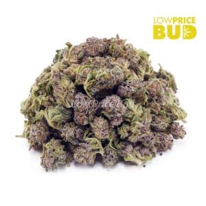 Buy Mimosa Punch (AAAA) – Popcorn Nugs online Canada