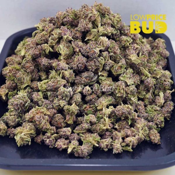 Buy Mimosa Punch (AAAA) – Popcorn Nugs online Canada