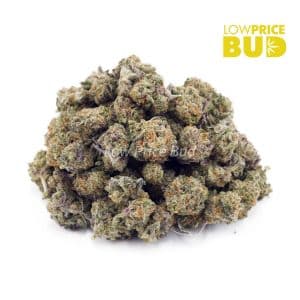 Buy Build Your Own (AAAA) Popcorn Pound 4 x 112g online Canada