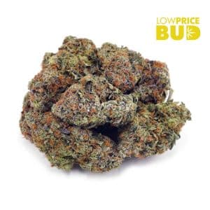 Buy Super Silver Haze (AAA) online Canada