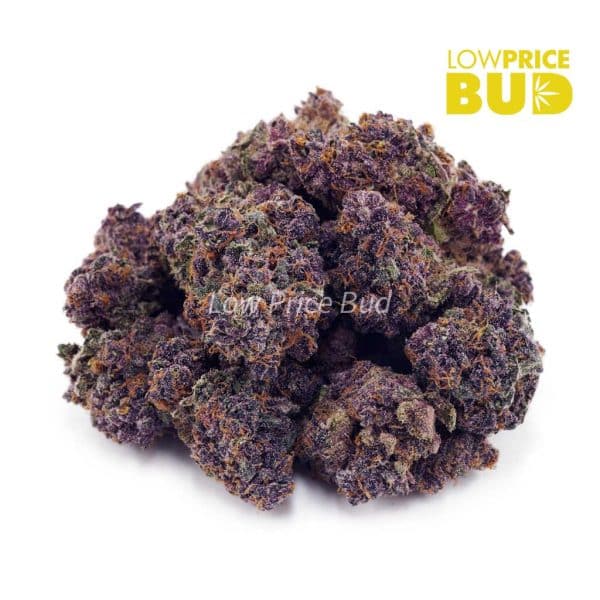 Buy Purple Kush (AAA) online Canada