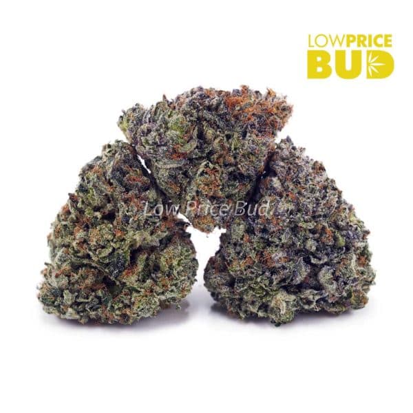 Buy Supreme Gas Mask (Craft Cannabis) online Canada