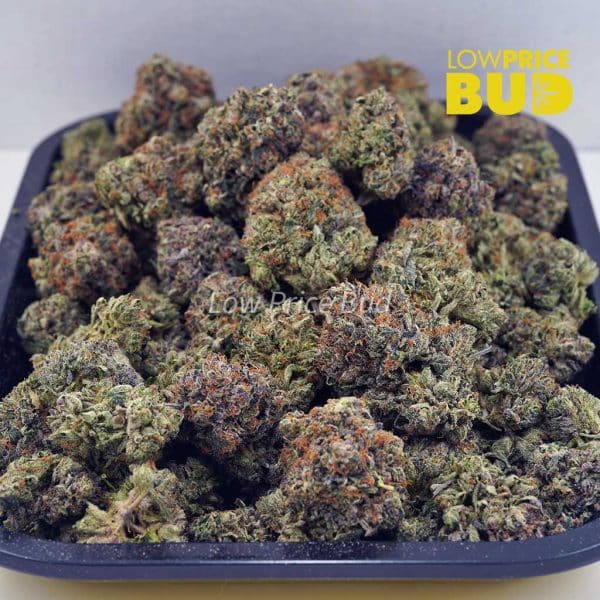 Buy Supreme Gas Mask (Craft Cannabis) online Canada