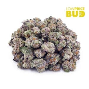 Buy Fortune Cookies (AAAA) – Popcorn Nugs online Canada