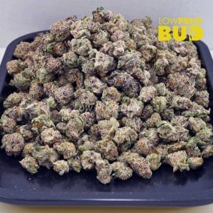 Buy Fortune Cookies (AAAA) – Popcorn Nugs online Canada