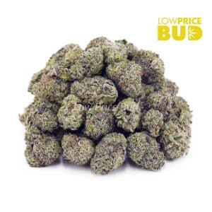 Buy Animal Crackers (AAAA) – Popcorn Nugs online Canada