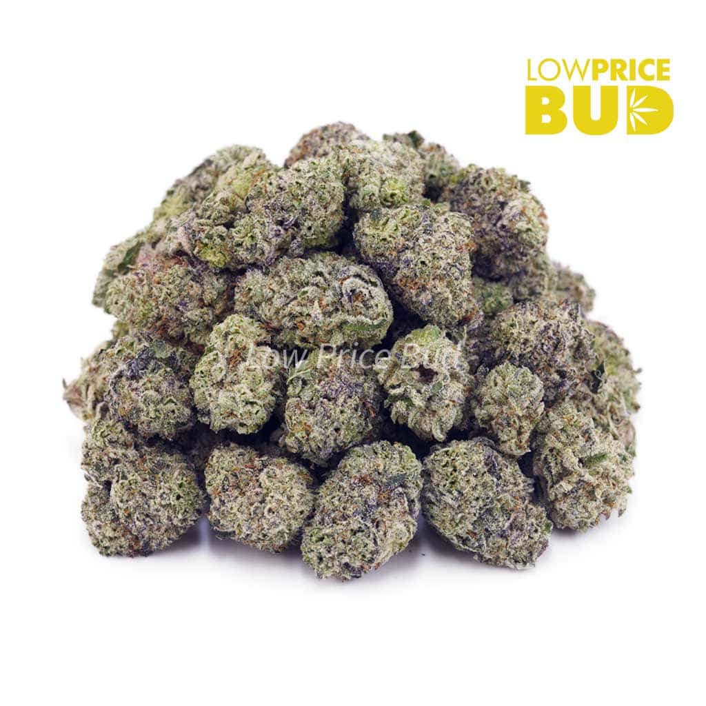 Animal Crackers (AAAA) – Popcorn Nugs Buy Animal Crackers (AAAA) – Popcorn Nugs online Canada