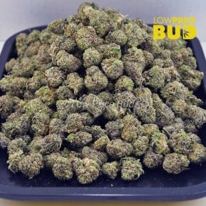 Buy Animal Crackers (AAAA) – Popcorn Nugs online Canada