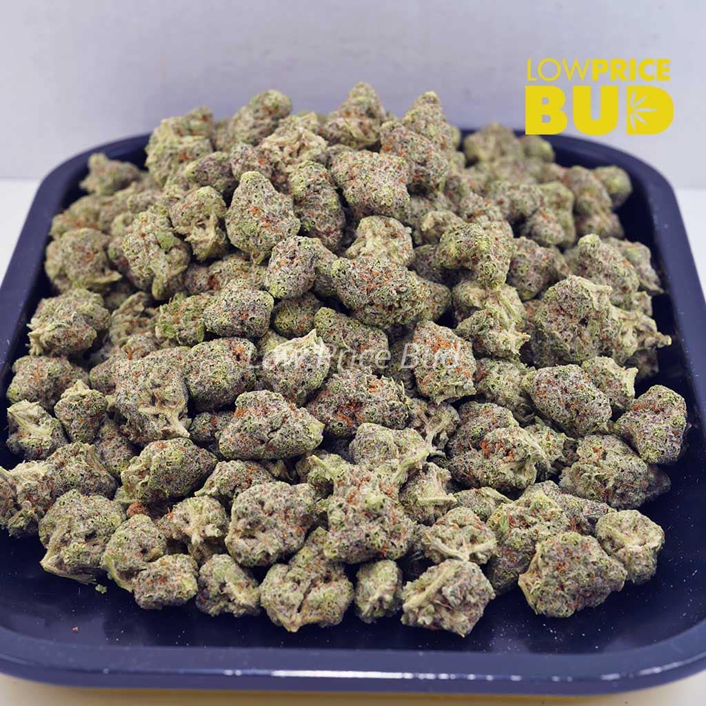 Buy White Tahoe Cookies (AAAA) – Popcorn Nugs online Canada