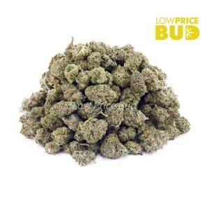 Buy Strawberry Shortcake (AAAA) – Popcorn Nugs online Canada