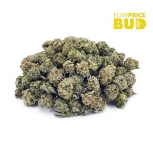 Buy Island Sweet Skunk (AAAA) – Popcorn Nugs online Canada