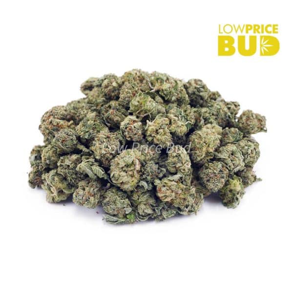 Buy Island Sweet Skunk (AAAA) – Popcorn Nugs online Canada