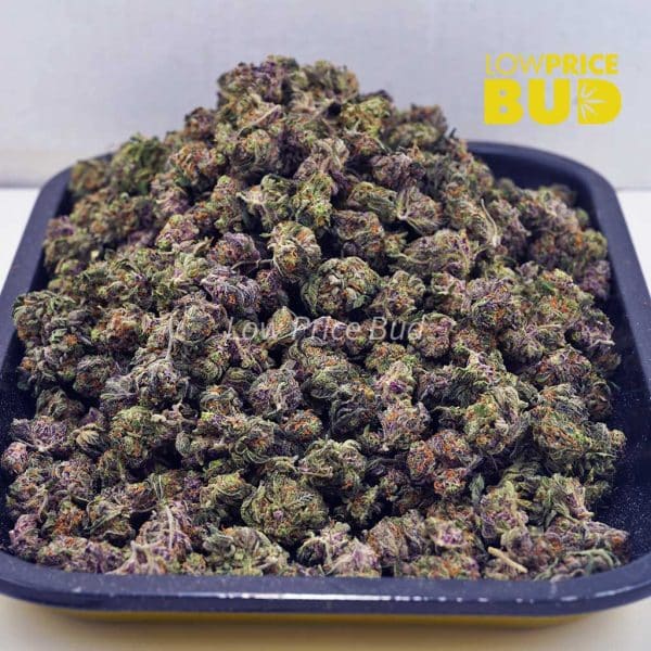 Buy Tahoe OG (AAAA) – Popcorn Nugs online Canada