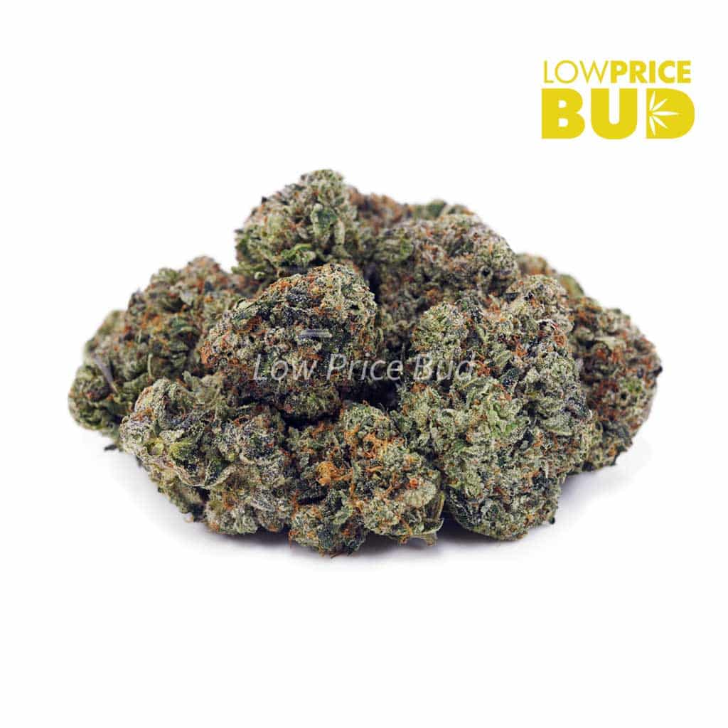 Buy God’s Breath (Craft Cannabis) online Canada