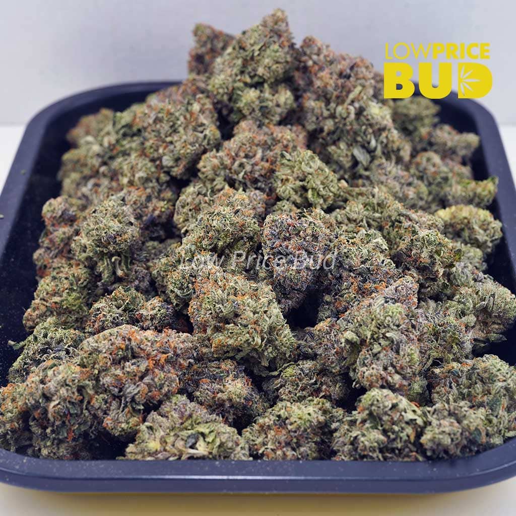 God’s Breath (Craft Cannabis) Buy God’s Breath (Craft Cannabis) online Canada