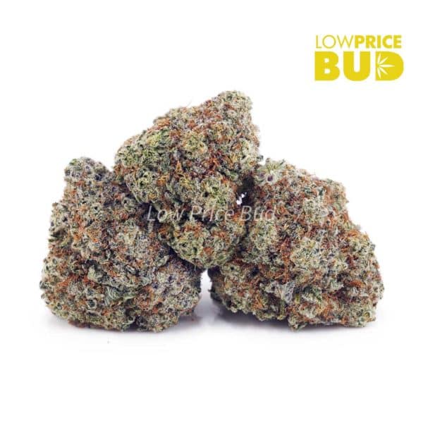 Buy Sundae Driver (AAA) online Canada