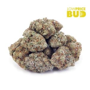 Buy Sundae Driver (AAA) online Canada