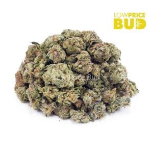 Buy Forum Cut Cookies (AAAA) – Popcorn Nugs online Canada