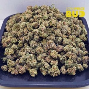 Buy Forum Cut Cookies (AAAA) – Popcorn Nugs online Canada