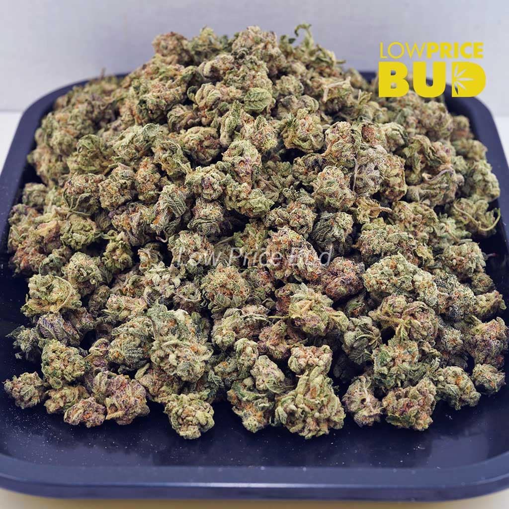 Buy Forum Cut Cookies (AAAA) – Popcorn Nugs online Canada