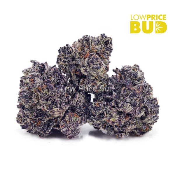 Buy Dank Kush Breath (Craft Cannabis) online Canada