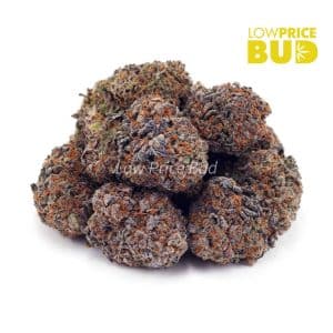Buy Bubble Gum Kush (AAA) online Canada