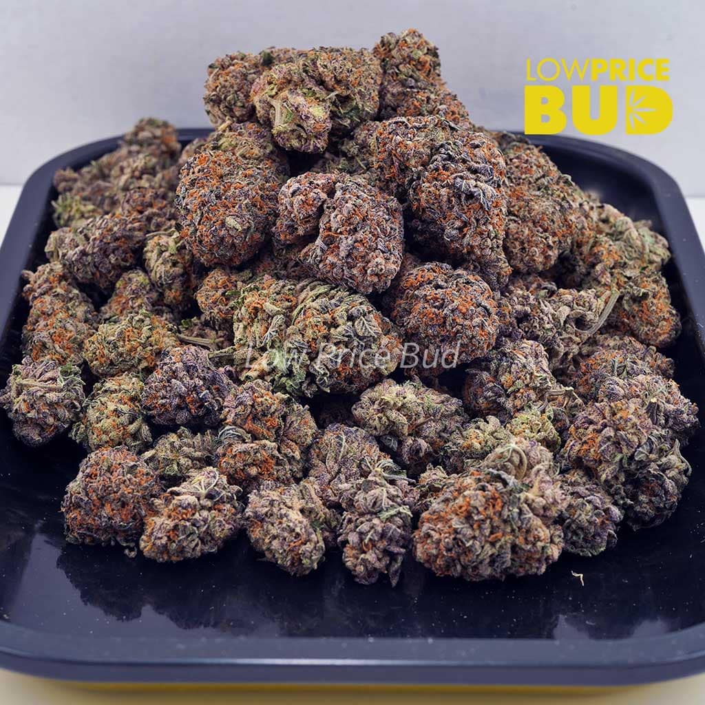 Bubble Gum Kush (AAA) Buy Bubble Gum Kush (AAA) online Canada