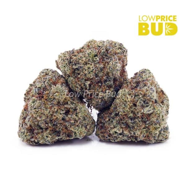 Buy Birthday Cake Kush (AAAA) online Canada