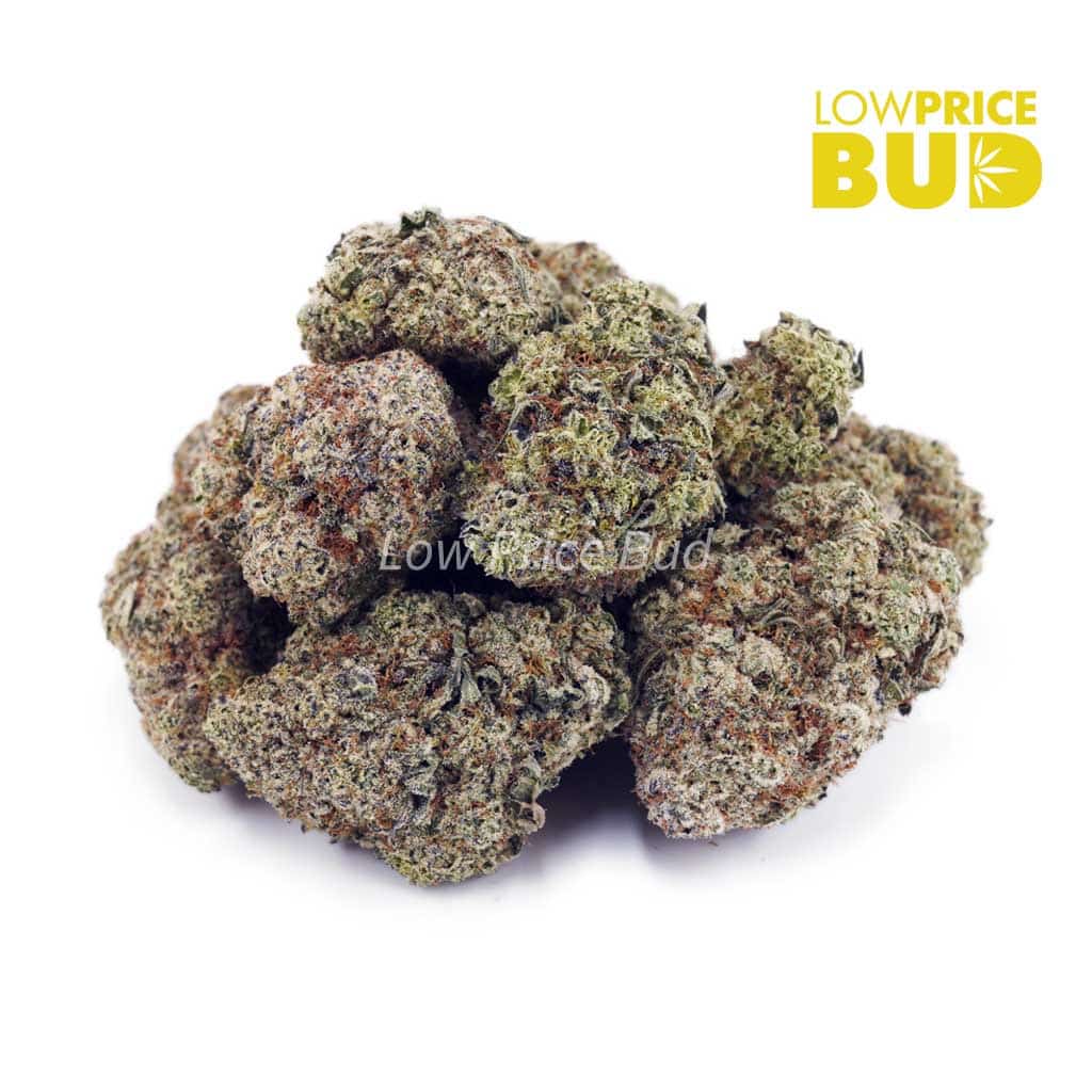 Buy Birthday Cake Kush (AAAA) online Canada