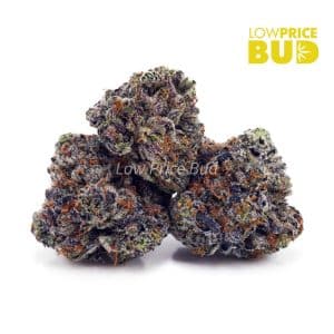Buy Cotton Candy Kush (AAA) online Canada