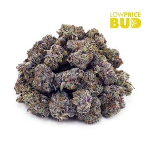 Buy Cotton Candy Kush (AAA) online Canada