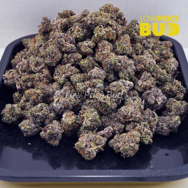 Buy Cotton Candy Kush (AAA) online Canada