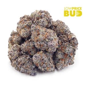 Buy Pink Runtz (AAAA) online Canada