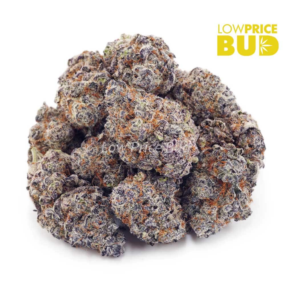 Buy Pink Runtz (AAAA) online Canada
