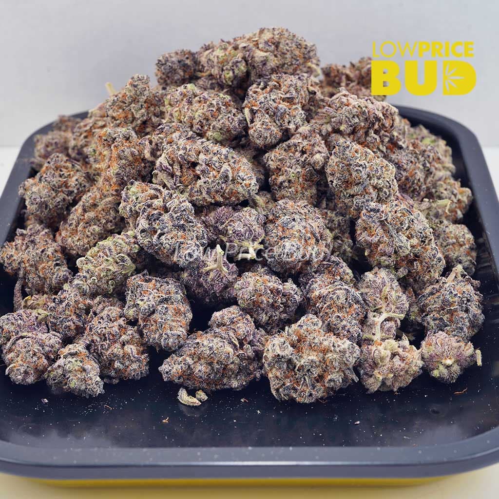 Pink Runtz (AAAA) Buy Pink Runtz (AAAA) online Canada